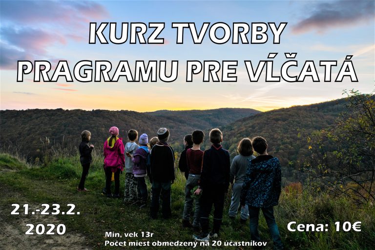 Kurz tvorby programu pre Vĺčatá copy